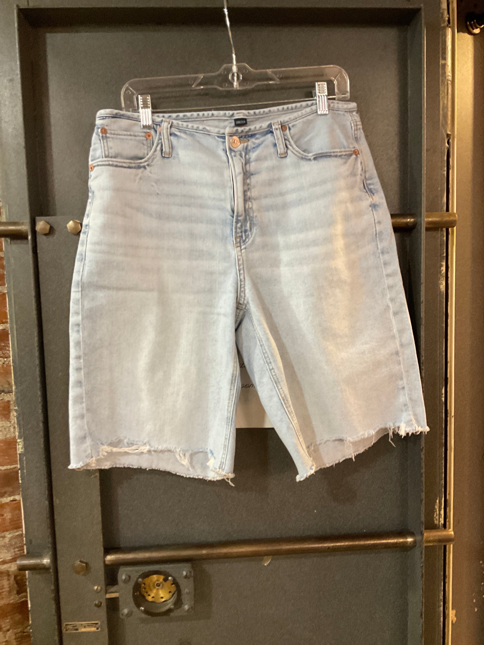 LIGHT American Eagle SHORTS 10