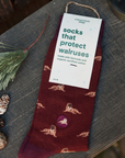 Conscious Step - Socks that Save Walruses