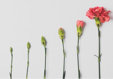 Load image into Gallery viewer, &quot;With each year, you continue to beautifully blossom&quot; - Birthday/Anniversary Plantable Card

